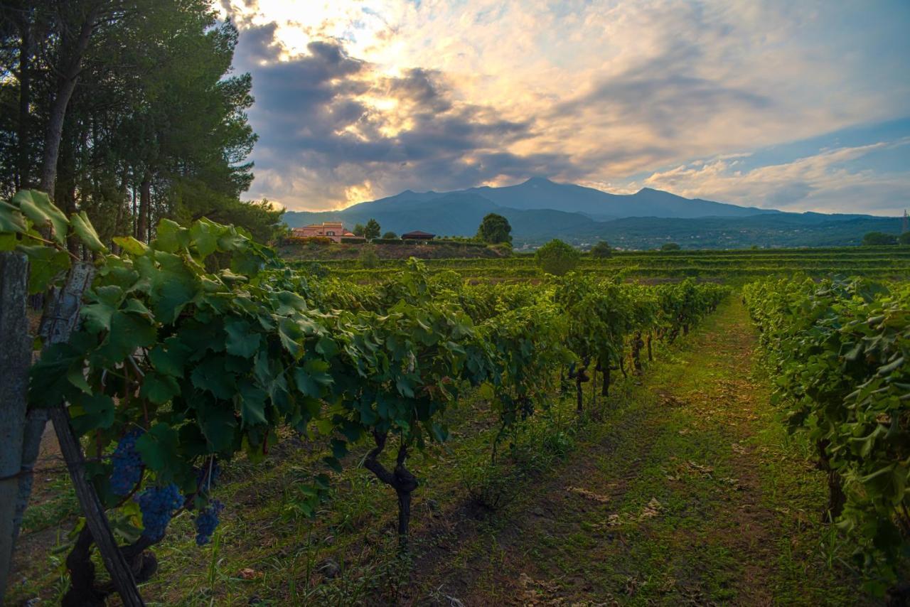 Agriturismo Tenuta San Michele Santa Venerina Exterior photo